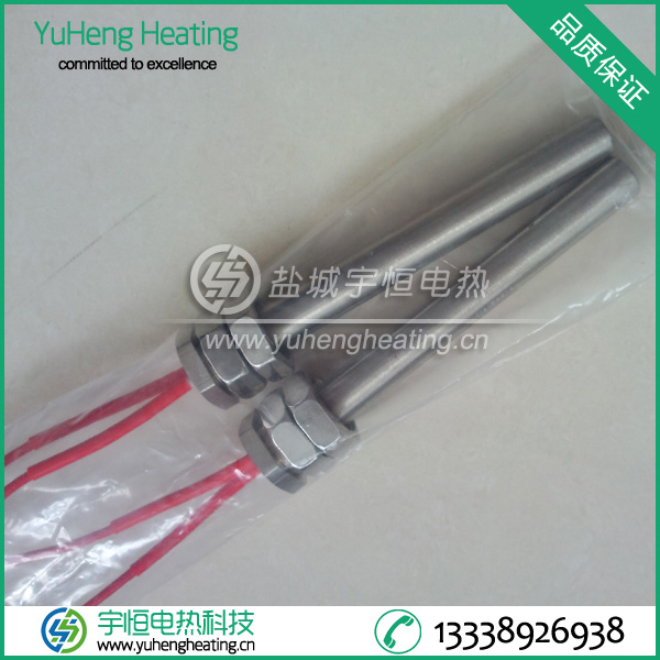帶雙螺母單頭電熱管