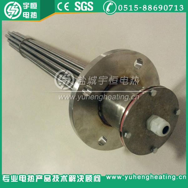 防爆型法蘭電加熱管