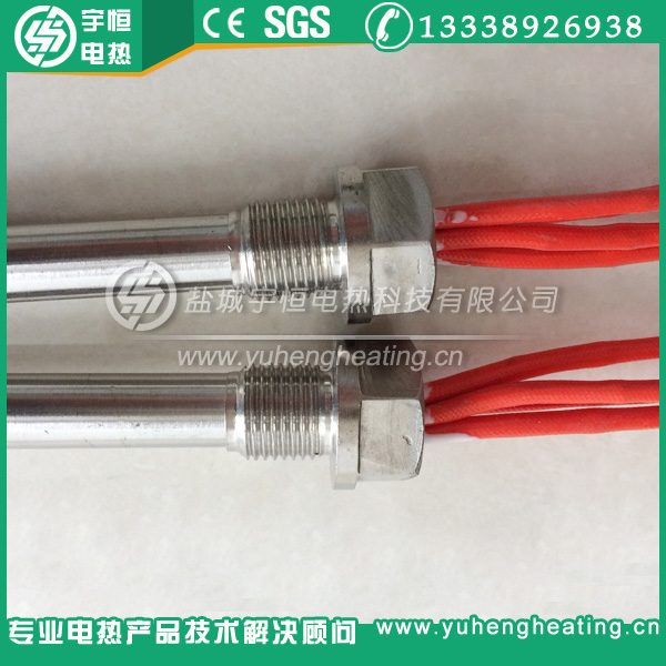 帶測(cè)溫單頭加熱棒