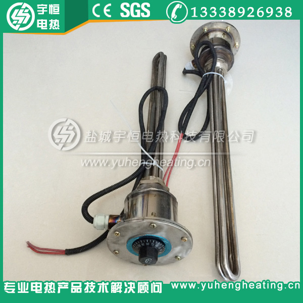 帶可調(diào)溫控法蘭式電熱管