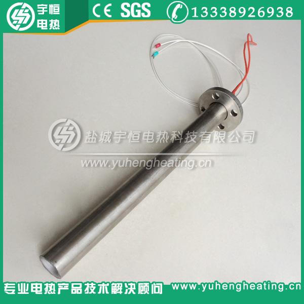 帶PT100測(cè)溫法蘭單頭加熱管